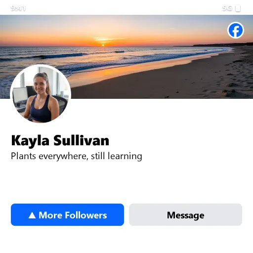 Illustration: a Facebook profile screen with a More Followers highlight