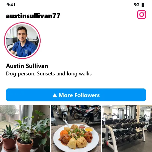 Illustration: an Instagram profile screen with a More Followers highlight