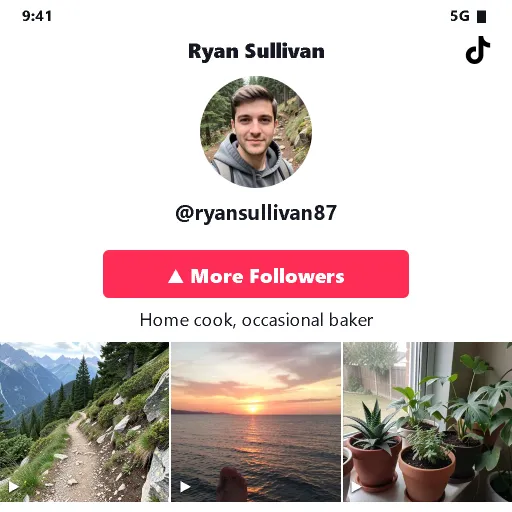 Illustration: a TikTok profile screen with a More Followers highlight