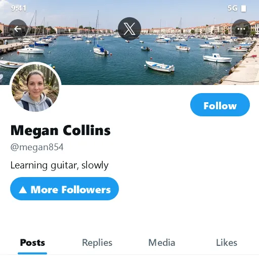 Illustration: an X profile screen with a More Followers highlight